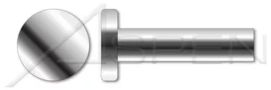 1/8″ X 1/2″ Solid Rivets, Flat Head, Stainless Steel