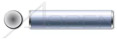 5/16″ X 3/4″ Solid Dowel Pins, Stainless Steel