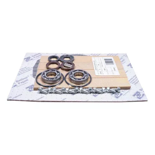 Chandler Equipment Battioni BAT-6010201055 Complete Rebuild Kit – BALLAST 11000, Type P