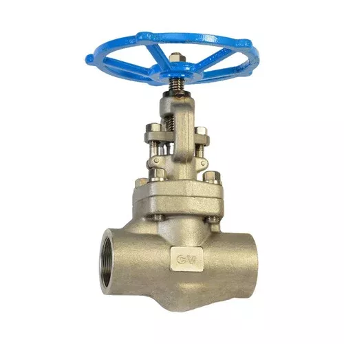 Chicago Valves 286SW020 2 in. Stainless Steel Gate Valve – Socketweld, Class 800 1975 PSI