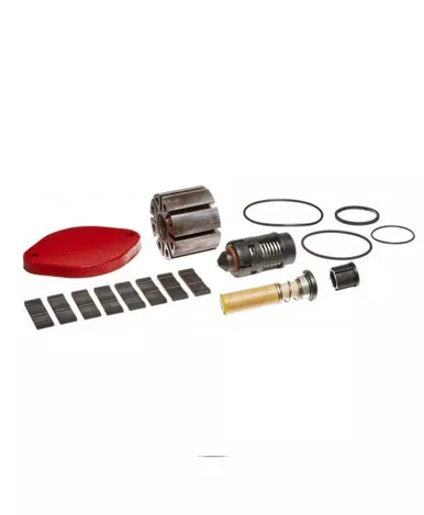 Fill-Rite BD300KTH0712 Bio-Diesel Rebuild Kit