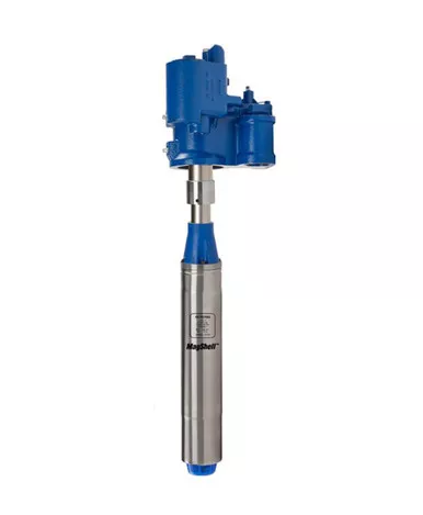 Franklin Fueling 400838924 2 HP Variable Speed Submersible Turbine Pump w/ Model R Check Valve (Riser Pipe Length 24'')