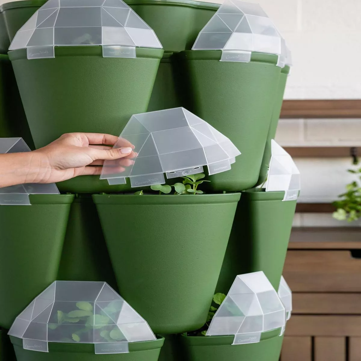 GreenStalk Seed House (Set of 6)