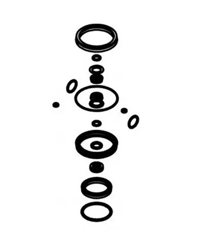 Piusi R20568000 Kit of Spare Seals for Pumps 5.5