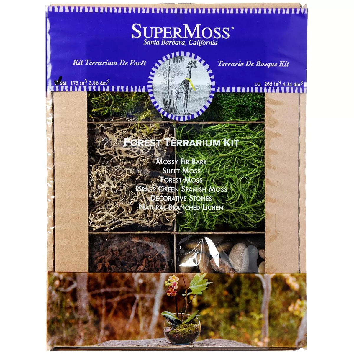 SuperMoss Terrarium Kit – Forest Kit