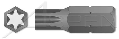 Ts30 X 1″, A/F=1/4″ Insert Bits, 6Lobe Torx(r) Generic Alternative
